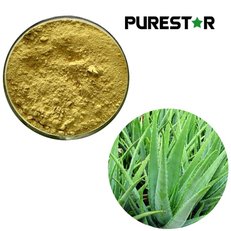 Aloe Vera Extract, Aloin Powder Supplier & Manufacturer | Aloe Extract ...