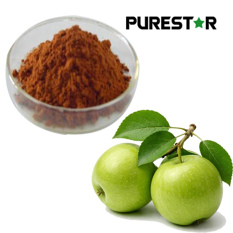 Apple Extract Apple Polyphenol 50%-95% | Malus pumila Apple Extract ...