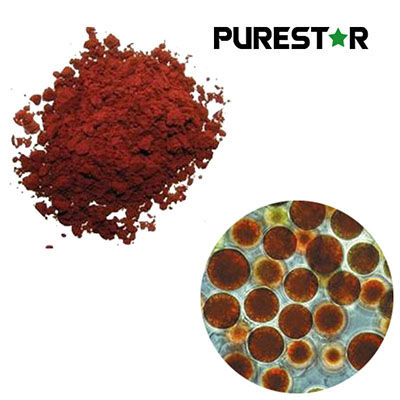 Why Astaxanthin from Haematococcus pluvialis Is the Preferred Source of Natural Astaxanthin