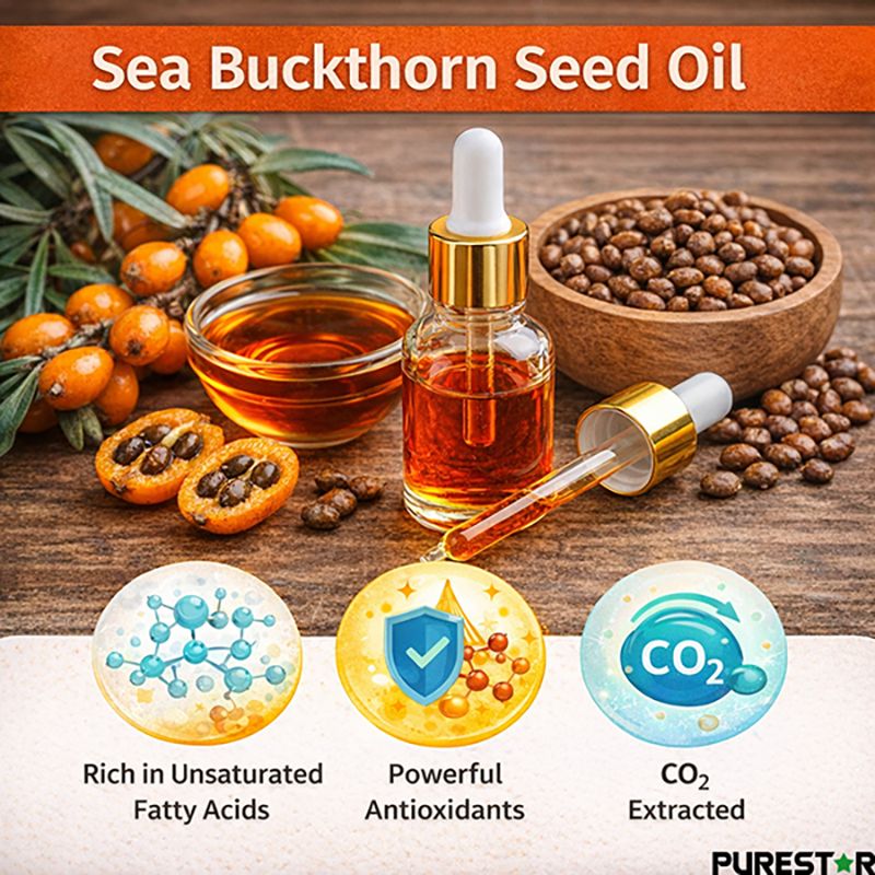 Why Does Supercritical CO₂-Extracted Sea Buckthorn Seed Oil Show Strong Antioxidant Activity?