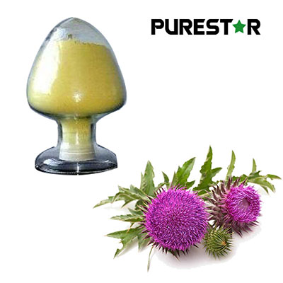 Milk Thistle (Silybum marianum) Research Progress: Pharmacology, Cultivation Technology, and Application Value of Silymarin