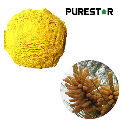 Pine Pollen Powder: Chemical Composition, Pharmacological Effects, Nutritional Value, and Scientific Evidence Supporting Its Health Benefits