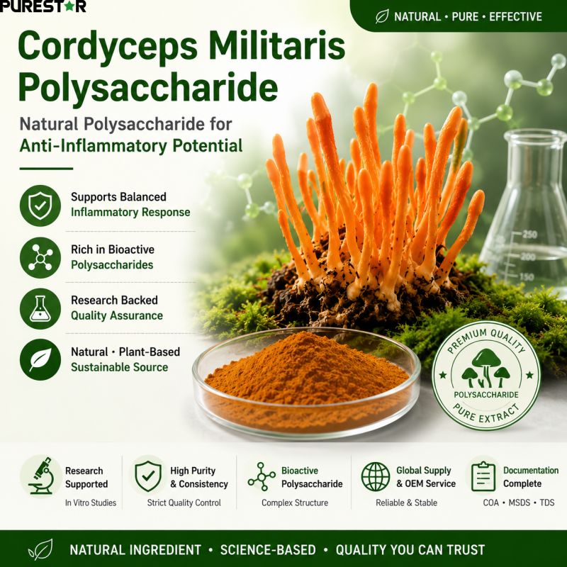 Can Cordyceps Militaris Polysaccharide Help Support a Balanced Inflammatory Response?