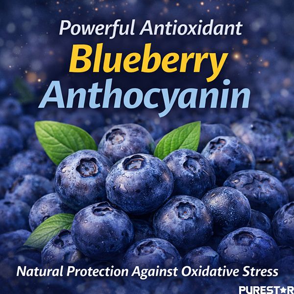 Why Does Blueberry Anthocyanin Show Such Strong Antioxidant Activity in Natural Systems?
