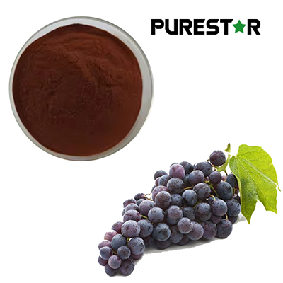 How Does Resveratrol Support Glucose Homeostasis? Research Progress on Multilevel Regulatory Mechanisms