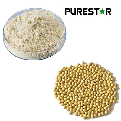 What Makes Phosphatidylserine a Powerful Brain Nutrient for Memory and Stress Support?