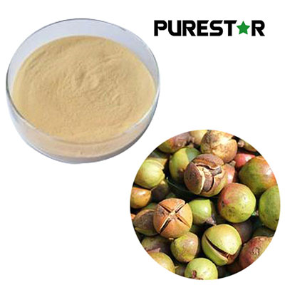 Tea Saponin Surfactant: Surface Activity, Foam Stability, and Industrial Applications of Natural Tea Saponin