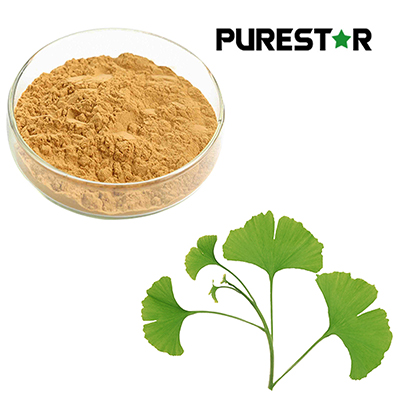 How Do Ginkgo Biloba Flavonoids Work as Natural Antibacterial Agents in Food and Health Applications?