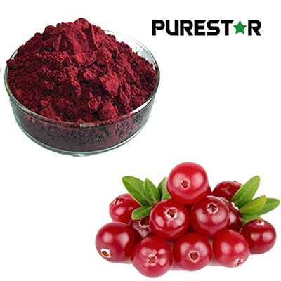 What Makes Cranberry Extract a Powerful Functional Ingredient for Antioxidant Protection, Urinary Health, and Cardiovascular Support?