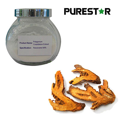 Resveratrol: Research Progress, Functional Properties, and Application Perspectives