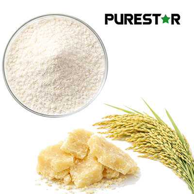 Can Rice Bran Fatty Alcohol Enhance Endurance and Power the Next Generation of Sports Drinks?