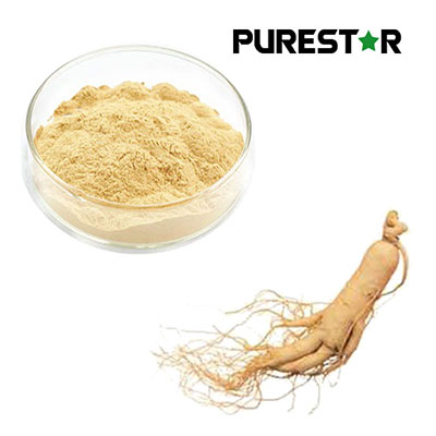 Is Ginseng Extract Safe for Long-Term Consumption? A Comprehensive Safety and Toxicological Evaluation of Ginseng Extract