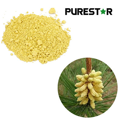 Can Pine Pollen Powder Play a Role in Reducing Exercise-Related Fatigue?