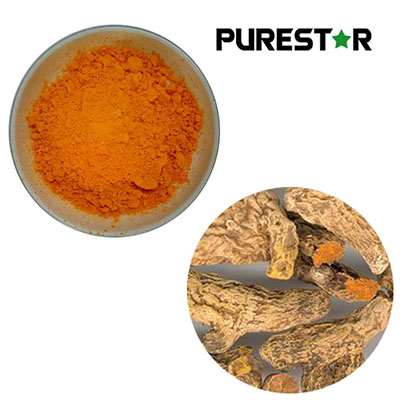 Curcumin: Chemical Structure, Antioxidant Properties, and Key Molecular Signaling Interactions