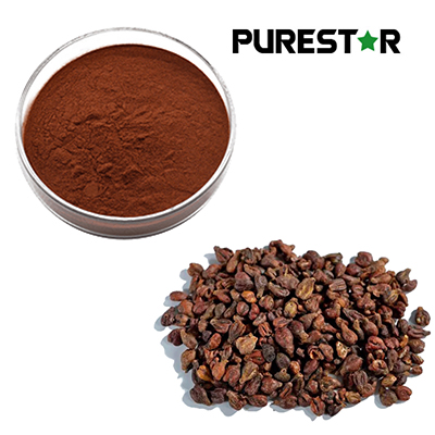 How Does Grape Seed Extract Work as an Antioxidant in Aqueous Systems?