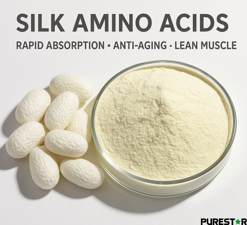 Silk amino acids powder produced from natural silk cocoons, offering rapid absorption, skincare benefits, and lean muscle support.