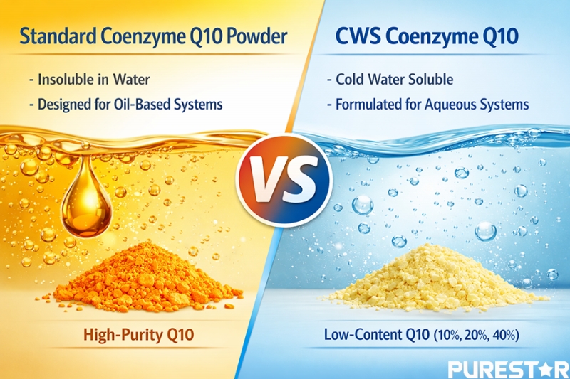 A clear comparison between standard high-purity Coenzyme Q10 designed for oil-based systems and CWS Coenzyme Q10 formulated for water-dispersible applications with different content levels.