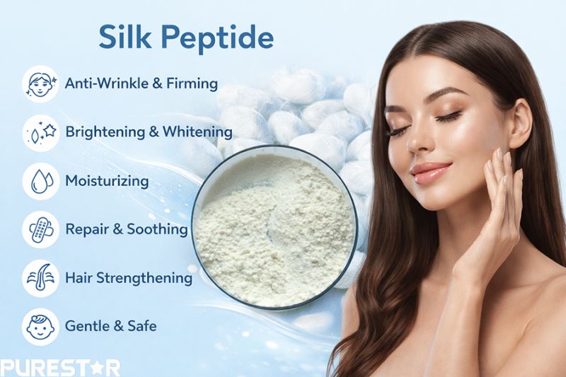 Silk peptide powder formulated for cosmetic use, supporting anti-wrinkle firming, skin brightening, deep hydration, soothing repair, hair strengthening, and gentle compatibility for sensitive skin and daily care formulations