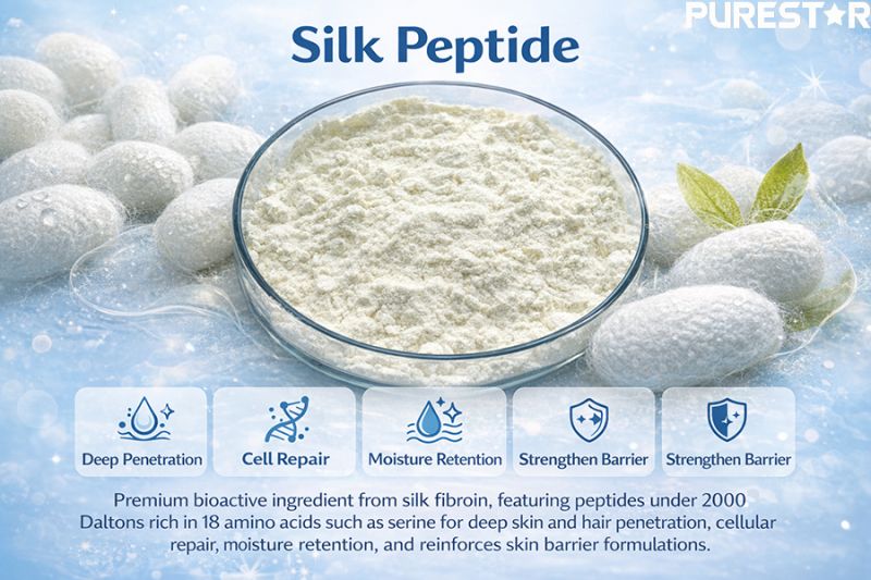 Silk peptide powder derived from silk fibroin, featuring low molecular weight peptides under 2000 Daltons that support deep skin and hair penetration, moisture retention, cellular repair, and barrier strengthening in cosmetic formulations.
