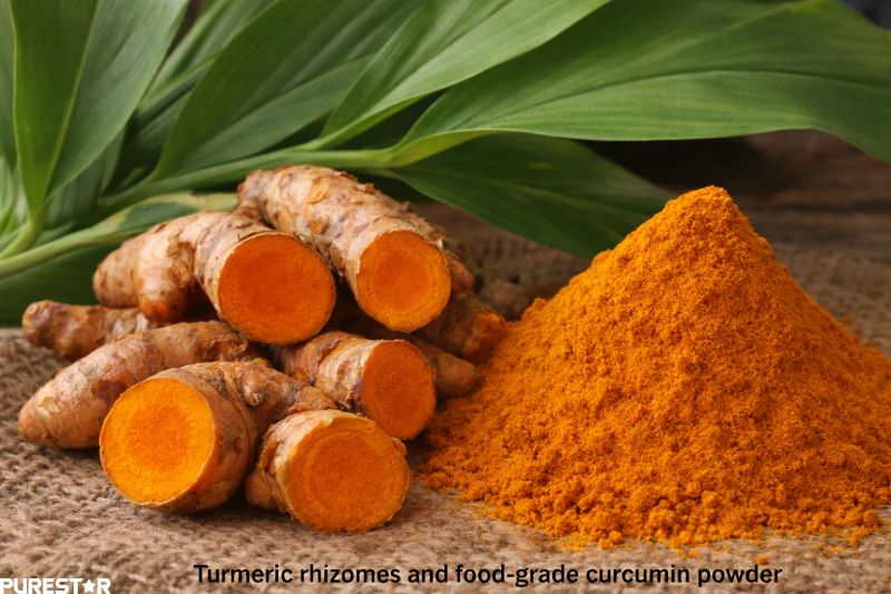 Natural turmeric rhizomes and curcumin powder illustrating the botanical origin of curcumin as a food-grade natural pigment.