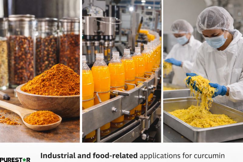 Industrial and food-related applications of curcumin across seasoning, beverage processing, and prepared food manufacturing environments.