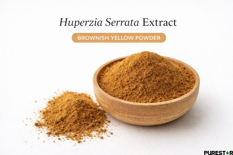 Huperzia Serrata Extract in brownish yellow powder form, illustrating the typical appearance of a standardized extract with 1% and 5% Huperzine A