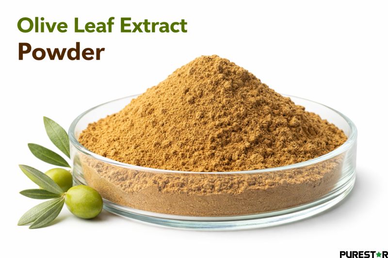 Olive Leaf Extract powder brown yellowish fine powder in glass dish showing standardized Olive Leaf Extract Oleuropein extract appearance