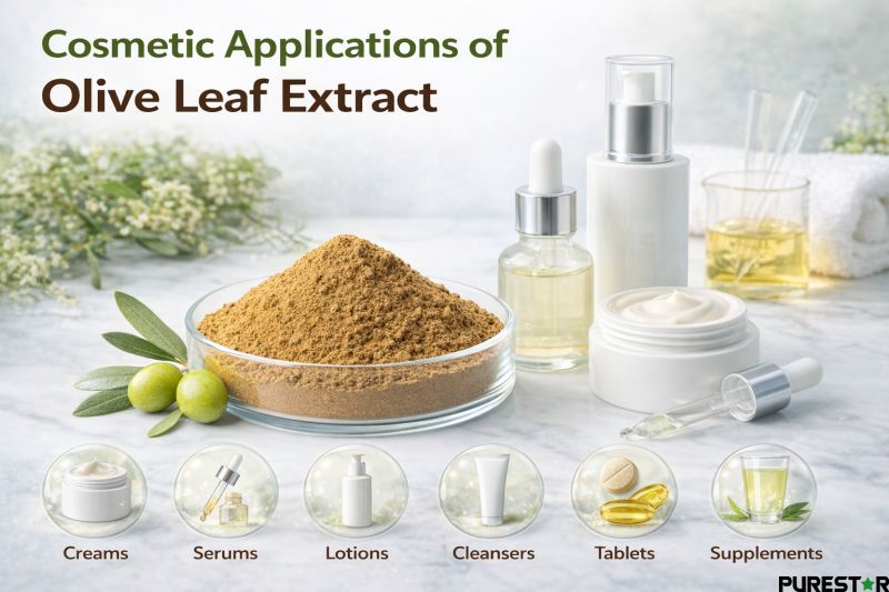 Olive Leaf Extract cosmetic applications showing Olive Leaf Extract powder used in creams serums lotions and cosmetic formulations