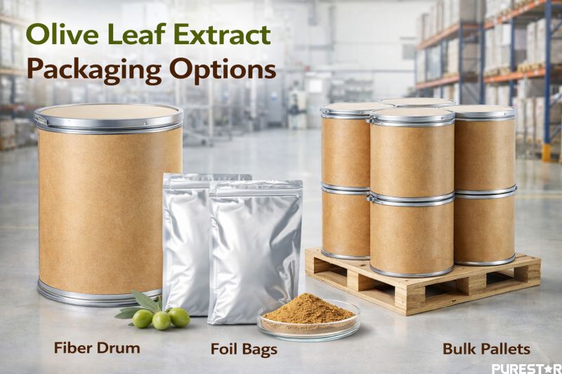 Olive Leaf Extract packaging options showing fiber drum foil bags and bulk pallet packaging for Olive Leaf Extract powder bulk supply