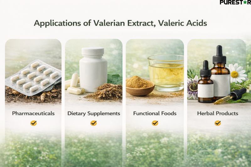 Industrial applications of Valerian Extract, Valeric Acids in capsules, tablets, beverages and herbal formulations for global manufacturers