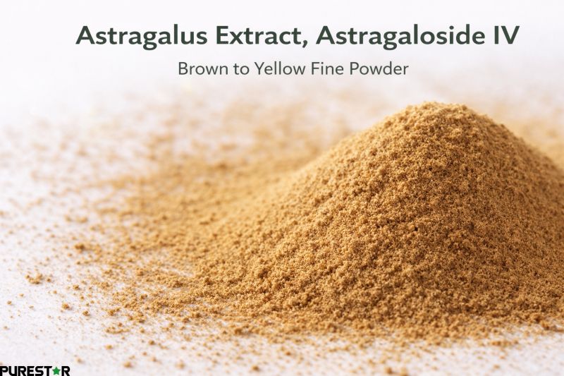 Close-up view of Astragalus Extract, Astragaloside IV brown fine powder showing uniform texture and pharmaceutical-grade quality control standards.