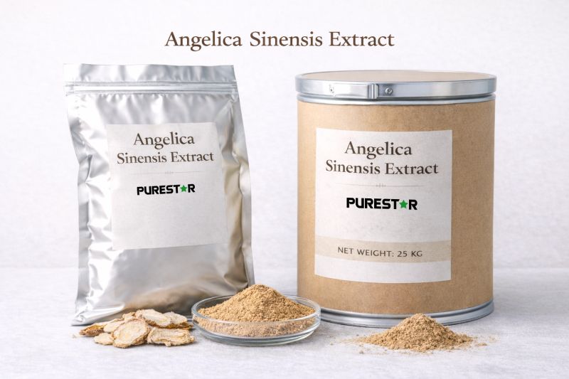 Angelica Sinensis Extract bulk packaging in aluminum foil bag and fiber drum for B2B raw material supply