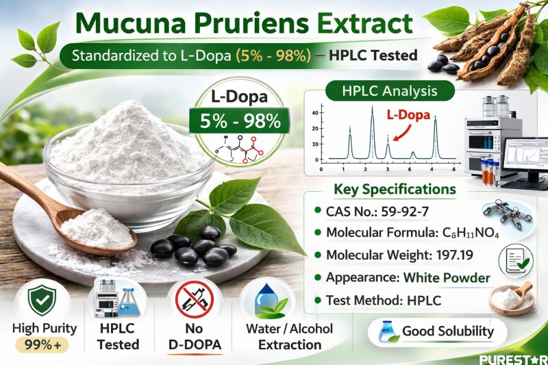 Mucuna Pruriens Extract L-Dopa specification infographic showing HPLC assay range 5% to 98% with CAS 59-92-7 details
