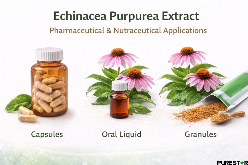 Pharmaceutical and nutraceutical application formats of Echinacea Purpurea Extract including capsules, oral liquid, and granules