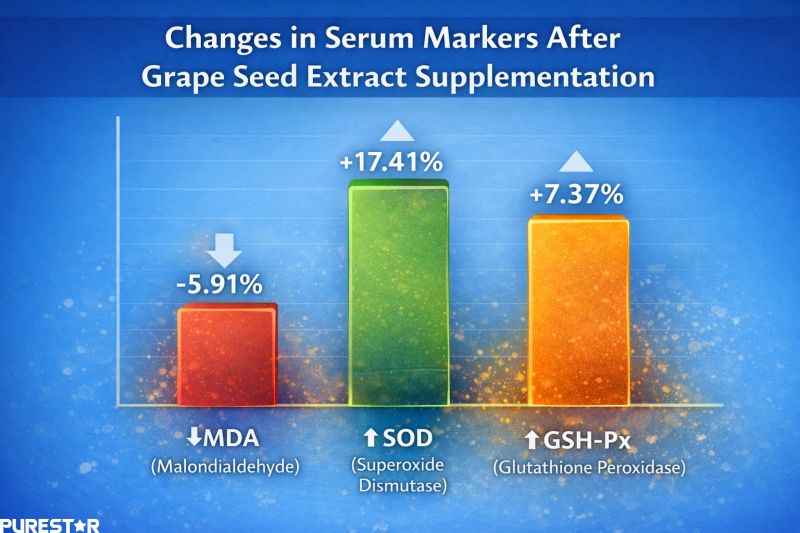 Bar chart showing changes in serum MDA, SOD, and GSH-Px levels after grape seed extract supplementation.