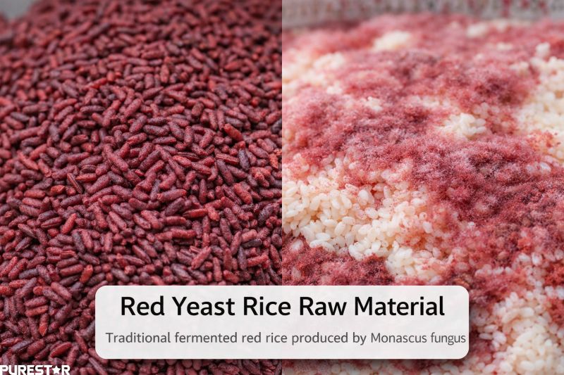 red yeast rice raw material produced by Monascus fermentation on rice grains