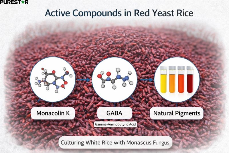 active compounds in red yeast rice including monacolin K GABA and natural pigments