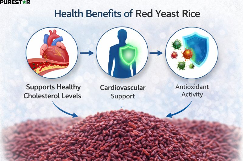 health benefits of red yeast rice supporting cholesterol metabolism and cardiovascular health
