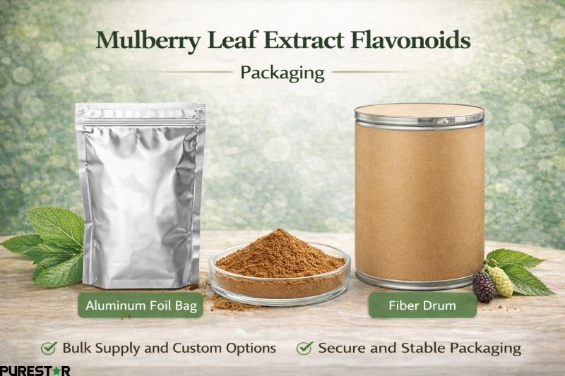 Mulberry Leaf Extract Flavonoids packaging aluminum foil bag and fiber drum bulk supply