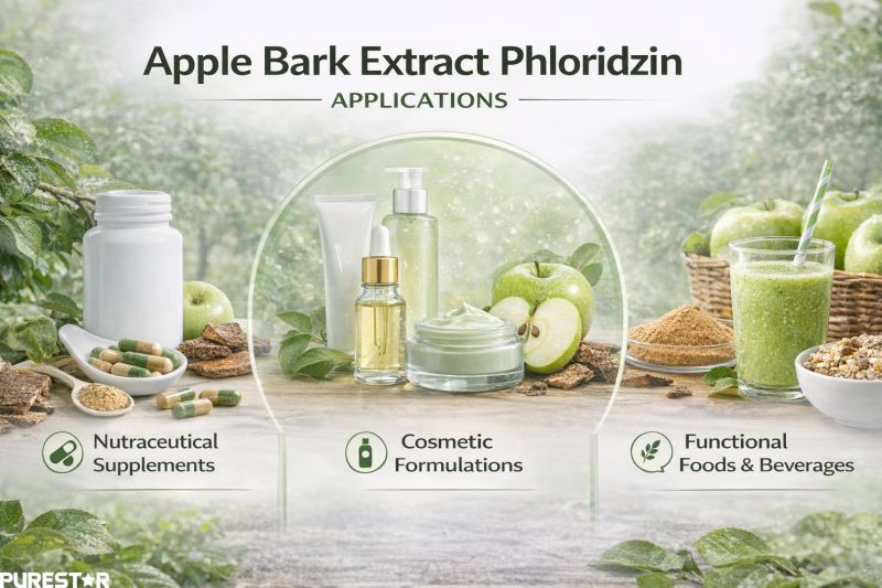 Apple Bark Extract Phloridzin Applications in Nutraceutical Supplements Cosmetics and Functional Foods