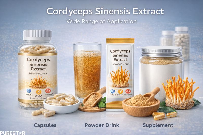 Cordyceps sinensis extract applications in capsules powder drinks and dietary supplements