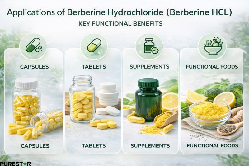 Berberine Hydrochloride applications in capsules tablets functional food and nutraceutical formulations