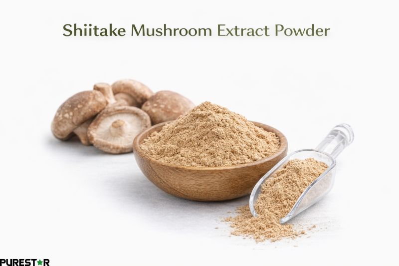 Shiitake mushroom extract powder fine beige powder appearance bulk ingredient