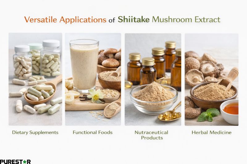 Shiitake mushroom extract applications dietary supplements functional foods nutraceutical herbal products