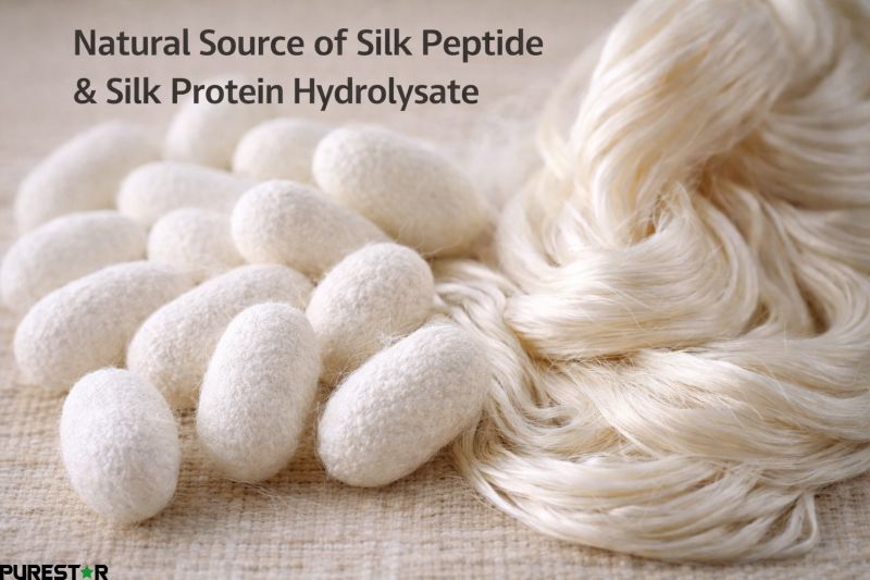silk cocoon and raw silk fiber natural source of silk peptide and silk protein hydrolysate ingredient
