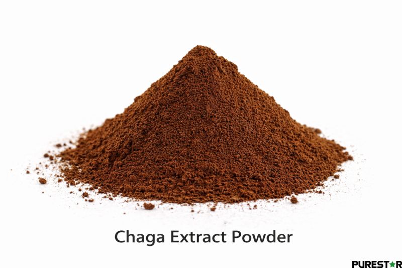 High quality chaga extract powder fine brown powder appearance standardized polysaccharides and beta glucan bulk supplier
