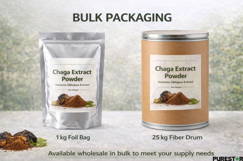 Chaga extract powder bulk packaging 1kg foil bag and 25kg fiber drum wholesale supplier for nutraceutical and food industry