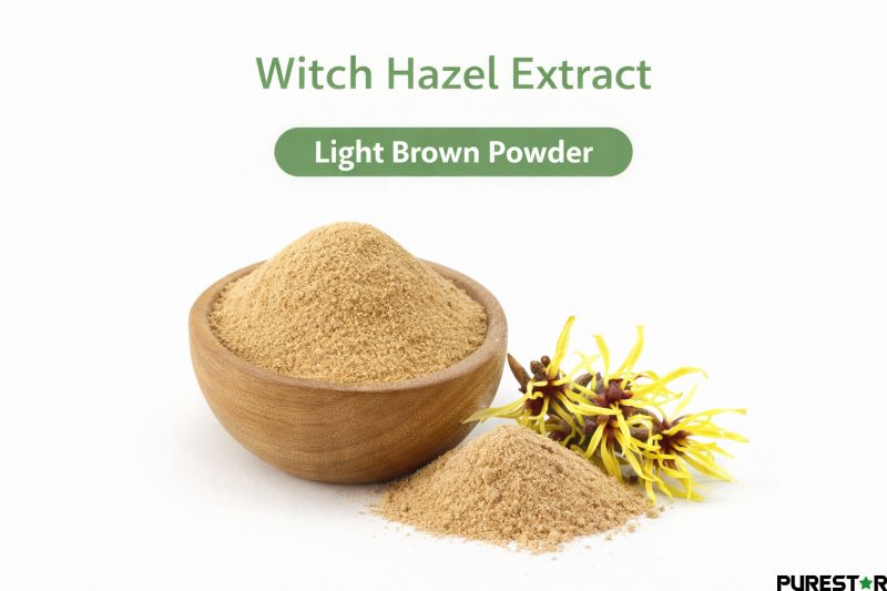 Light brown powder of Witch Hazel Extract in bulk form with fine texture and uniform particle size