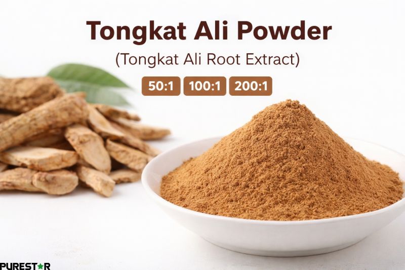 Tongkat Ali Powder brown fine powder appearance in white dish, high quality Tongkat Ali Root Extract 501 1001 2001