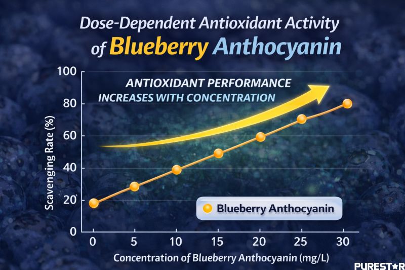 Dose-dependent antioxidant activity of blueberry anthocyanin showing increasing free radical scavenging rate with higher concentration levels